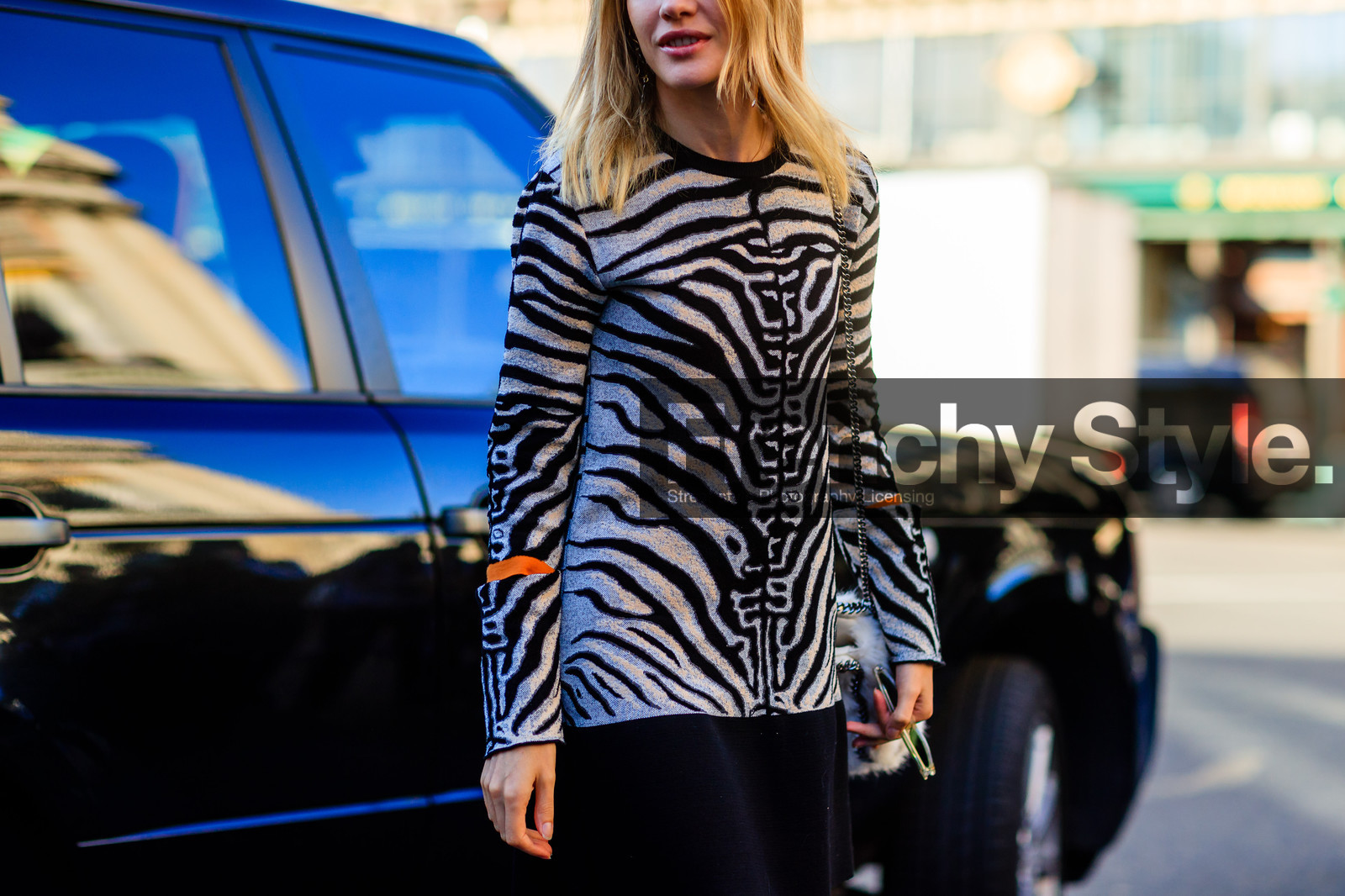 atmosphere details, detail, fashion week, frenchystyle, FW, grey sweater, horizontal, jonathan paciullo, natalia vodianova, PARIS, PFW, printed sweater, SPRING SUMMER 2017, SS 17, street style, zebra
