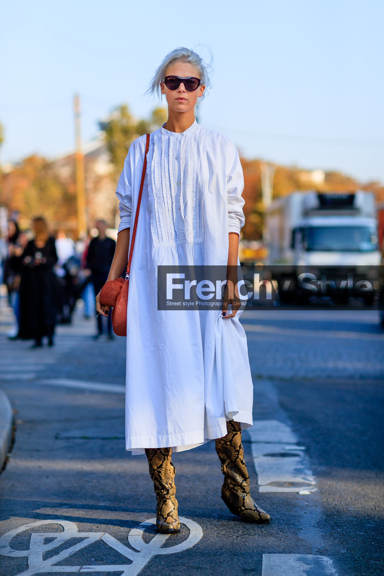 camel bag, cowboy boots, fashion week, frenchystyle, full length, FW, jonathan paciullo, leather bag, leather shoes, PARIS, PFW, python, shirt dress, SPRING SUMMER 2017, SS 17, street style, sunglasses, vertical, white dress