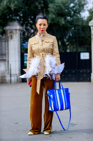 AUTUMN WINTER 2017-2018, AW 17-18, balenciaga, beige jacket, blue bag, camel pants, FALL WINTER 2017-2018, fashion week, feathers, frenchystyle, full length, FW, FW 17-18, geometric, graphic bag, jonathan paciullo, leather bag, PARIS, PFW, printed bag, street style, striped bag, trousers, velvet, vertical
