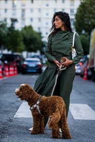 bag, dior bag, dog, kakhi pants, kakhi skirt, kakhi top, pleated skirt, skirt, top, white bag, white mocassins, street style, jonathan paciullo, FW, frenchystyle, fashion week, PFW, PARIS, SPRING SUMMER 2022, SS 22, vertical, full length