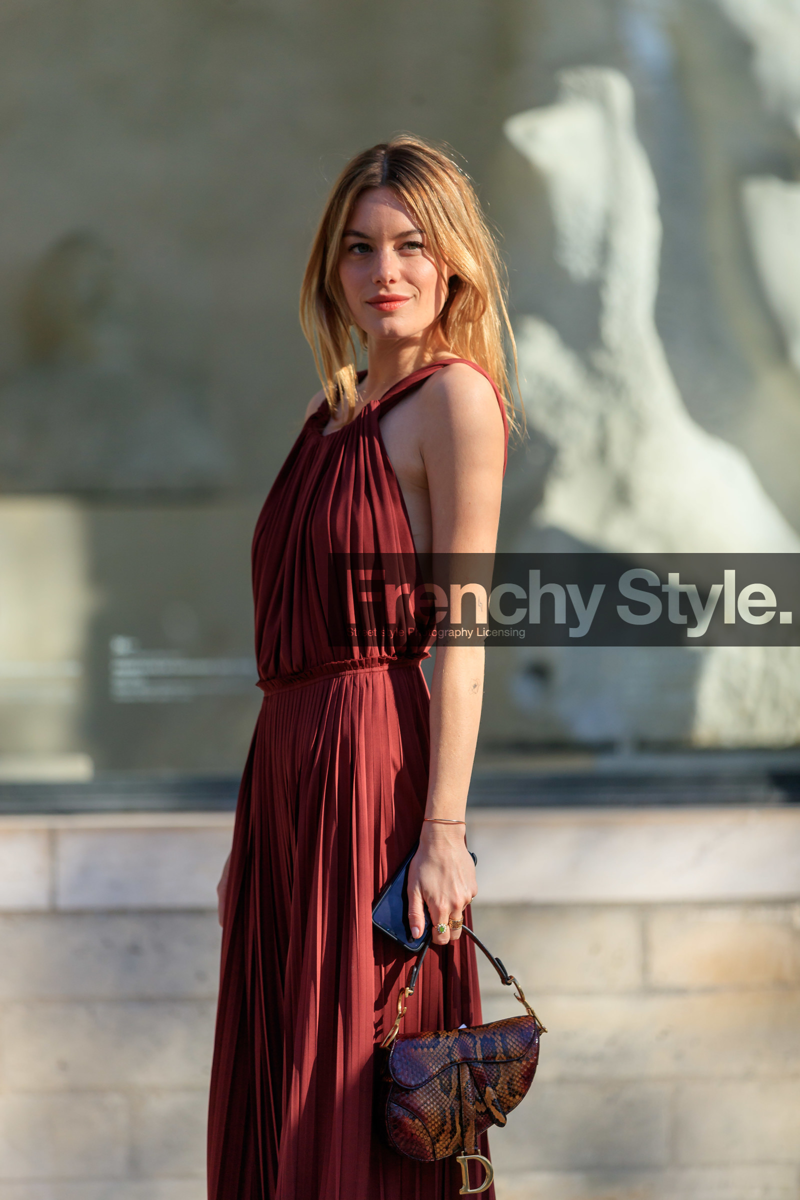 brown bag, camille rowe, christian dior, graphic bag, leather bag, pleated dress, printed bag, red bag, red dress, saddle bag, snake print, PARIS, PFW, street style, jonathan paciullo, FW, frenchystyle, fashion week, AUTUMN WINTER 2019-2020, AW 19-20, FALL WINTER 2019-2020, FW 19-20, vertical, atmosphere details, detail