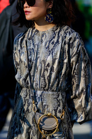 animal print, beige bag, chloé, earrings, golden details, graphic dress, leather bag, leather dress, printed dress, snake print, sunglasses, PARIS, PFW, street style, jonathan paciullo, FW, frenchystyle, fashion week, AUTUMN WINTER 2019-2020, AW 19-20, FALL WINTER 2019-2020, FW 19-20, vertical, atmosphere details, detail