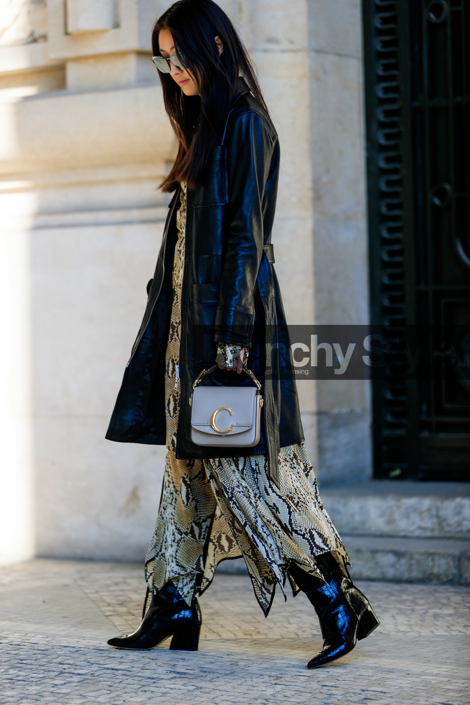 animal print, beige bag, black coat, black shoes, brown dress, chloé, graphic dress, high heels, justine lee, leather bag, leather coat, leather shoes, printed dress, snake print, sunglasses, PARIS, PFW, street style, jonathan paciullo, FW, frenchystyle, fashion week, AUTUMN WINTER 2019-2020, AW 19-20, FALL WINTER 2019-2020, FW 19-20, vertical, full length