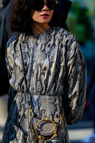 animal print, beige bag, chloé, golden details, graphic dress, leather bag, leather dress, printed dress, snake print, sunglasses, PARIS, PFW, street style, jonathan paciullo, FW, frenchystyle, fashion week, AUTUMN WINTER 2019-2020, AW 19-20, FALL WINTER 2019-2020, FW 19-20, vertical, atmosphere details, detail