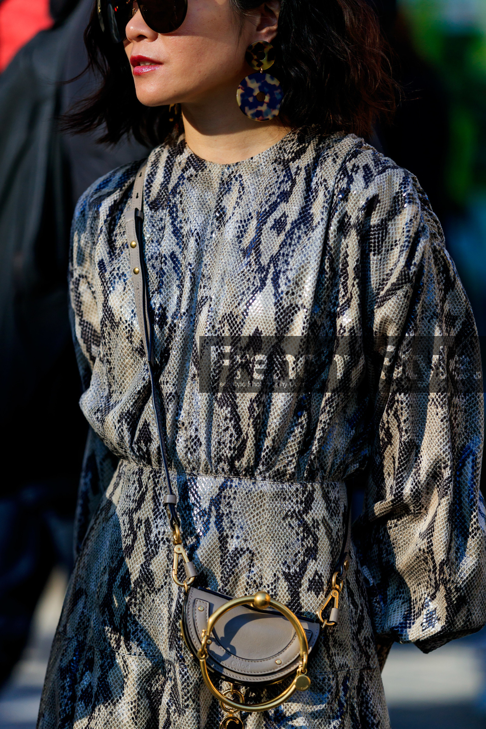 animal print, beige bag, chloé, earrings, golden details, graphic dress, leather bag, leather dress, printed dress, snake print, sunglasses, PARIS, PFW, street style, jonathan paciullo, FW, frenchystyle, fashion week, AUTUMN WINTER 2019-2020, AW 19-20, FALL WINTER 2019-2020, FW 19-20, vertical, atmosphere details, detail
