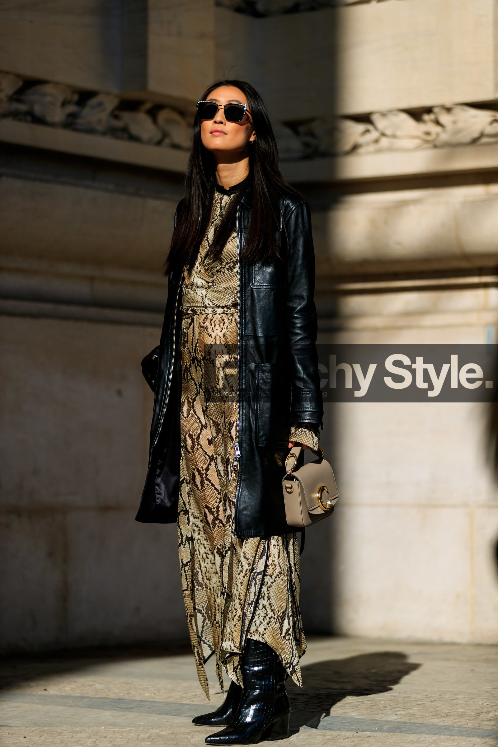 animal print, beige bag, black coat, black shoes, brown dress, chloé, graphic dress, high heels, justine lee, leather bag, leather coat, leather shoes, printed dress, snake print, sunglasses, PARIS, PFW, street style, jonathan paciullo, FW, frenchystyle, fashion week, AUTUMN WINTER 2019-2020, AW 19-20, FALL WINTER 2019-2020, FW 19-20, vertical, full length