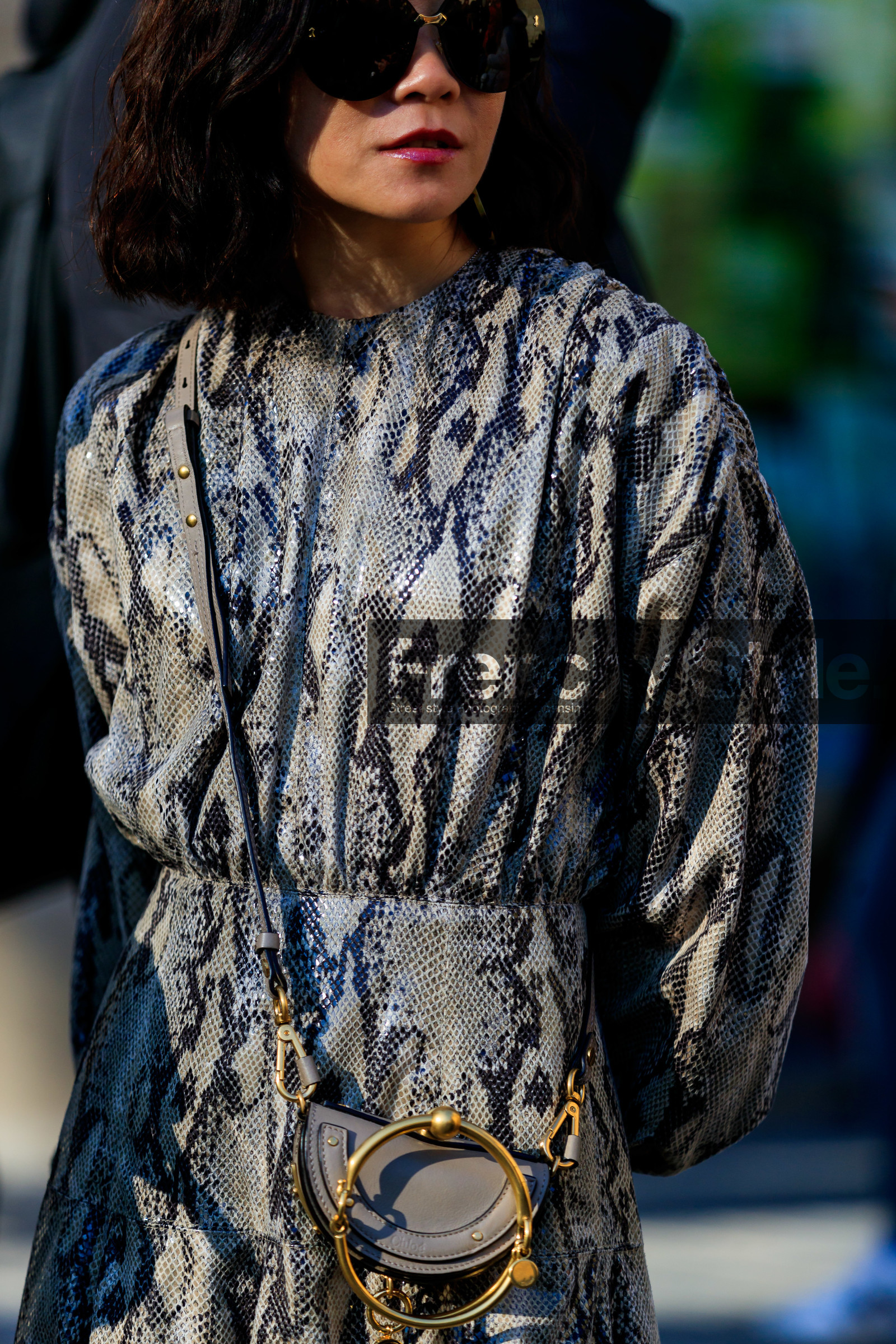 animal print, beige bag, chloé, golden details, graphic dress, leather bag, leather dress, printed dress, snake print, sunglasses, PARIS, PFW, street style, jonathan paciullo, FW, frenchystyle, fashion week, AUTUMN WINTER 2019-2020, AW 19-20, FALL WINTER 2019-2020, FW 19-20, vertical, atmosphere details, detail